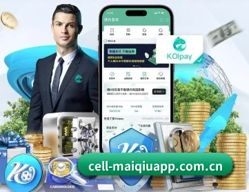 买球 APP 深度功能